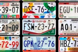 How do I know how much I owe for license plates?  Ownership debts: what to do?